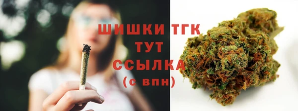 дмт Горняк