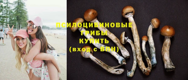дмт Горняк